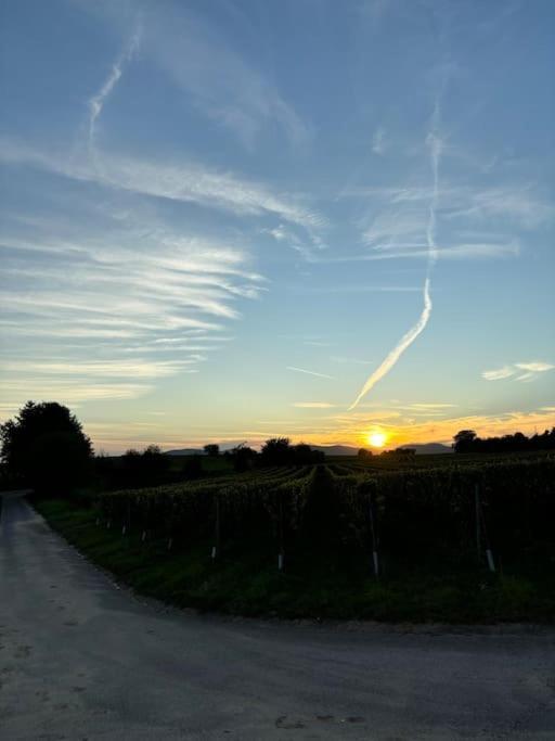 Ferienwohnung In Der Suedpfalz Zeiskam Exteriér fotografie