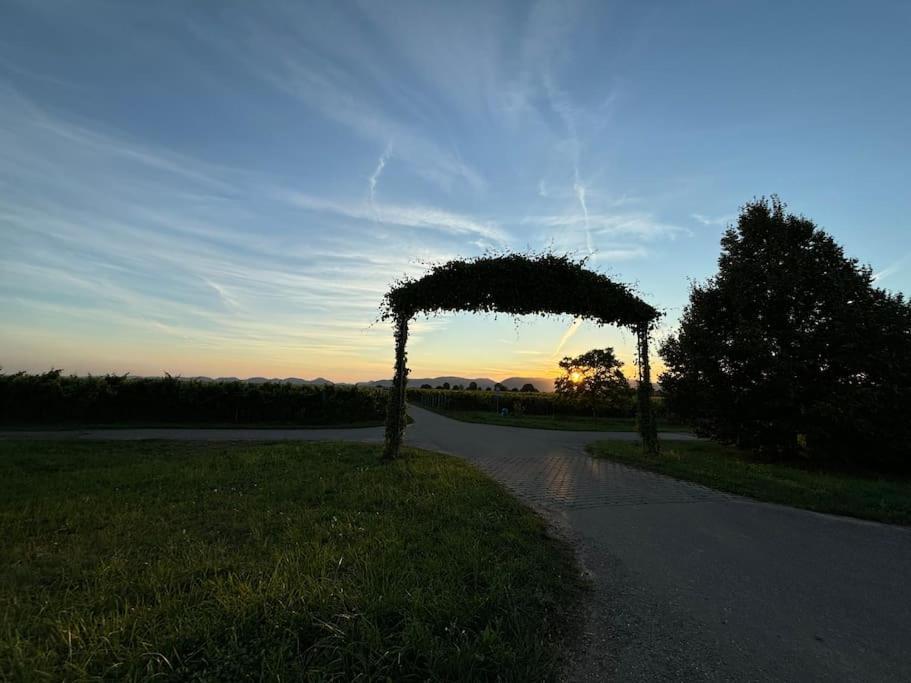 Ferienwohnung In Der Suedpfalz Zeiskam Exteriér fotografie